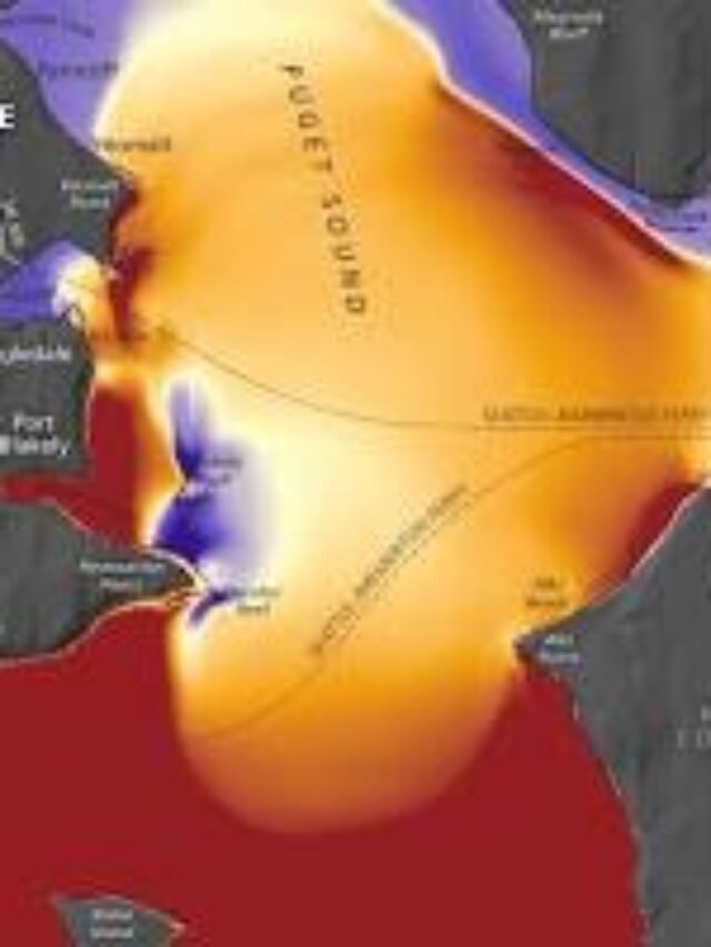 SEATTLE EARTHQUAKE TSUNAMI SIMULATION …!